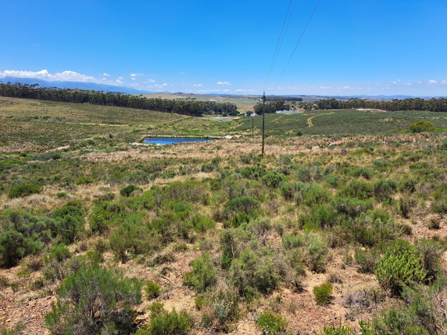 17 Bedroom Property for Sale in Riversdale Rural Western Cape